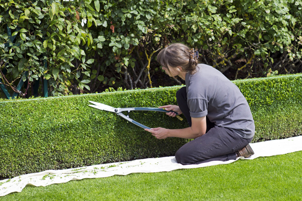 Bolsa de empleo diputación de granada categoría jardineria